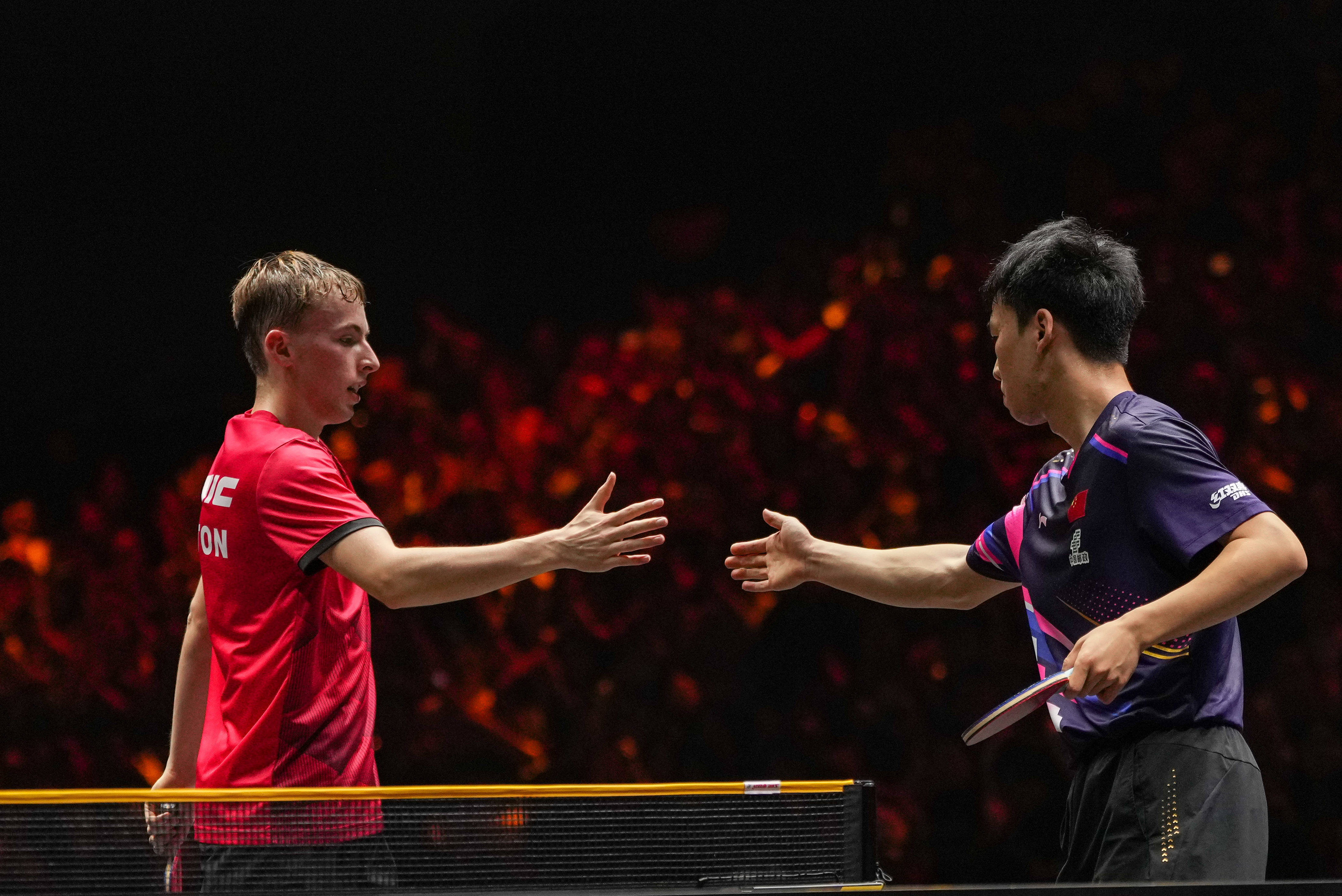 WTT中国大满贯赛|向鹏晋级男单八强