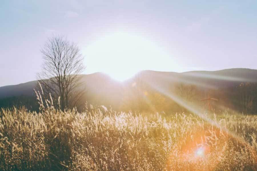 中国电竞战队国际赛事夺冠，引发青年关注热潮